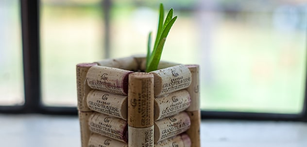 A Wine Cork Planter