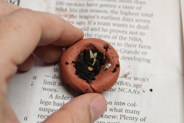 Air-Dry Clay Seed Bombs