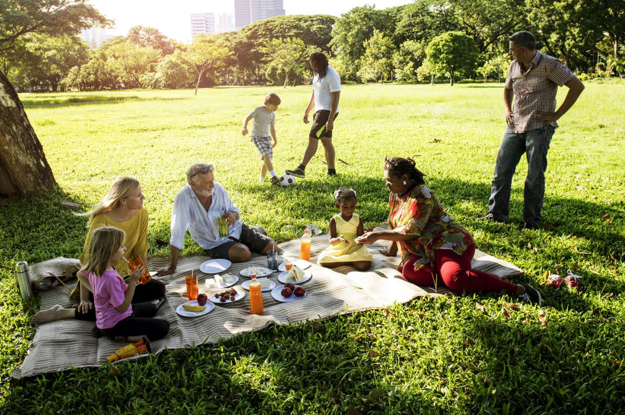 Basket Picnic Under a Tree