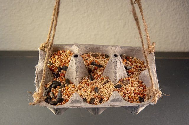 Bird Feeder Made with The Egg Carton Crafts