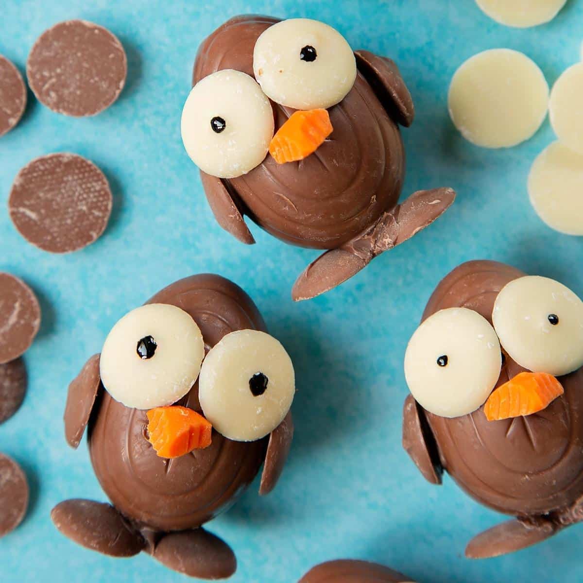 Chocolate Chicks