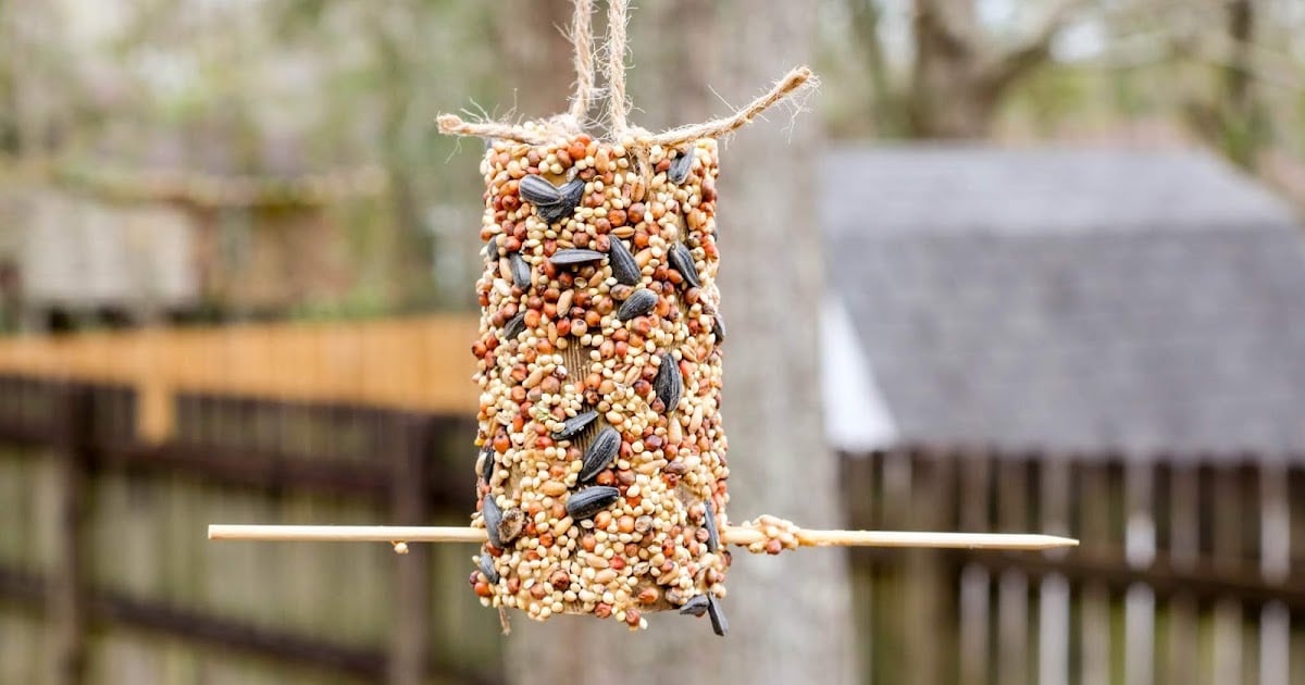 Cylindrical Cardboard Bird Feeder