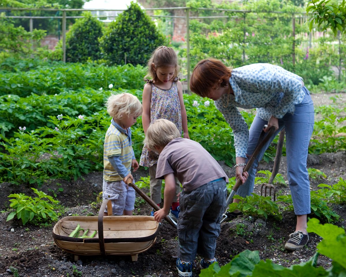 Gardening 