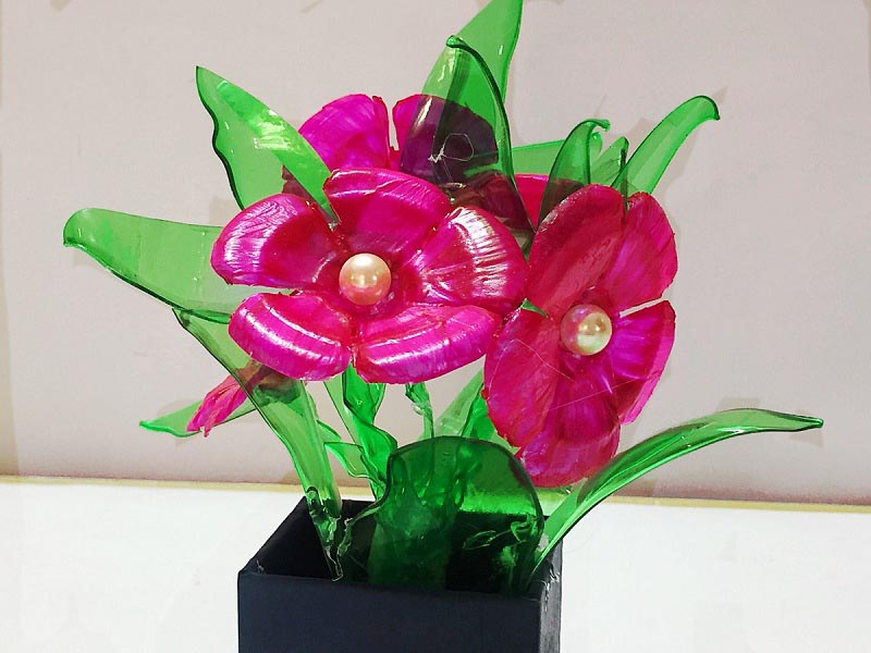 Plastic Bottle Flowers