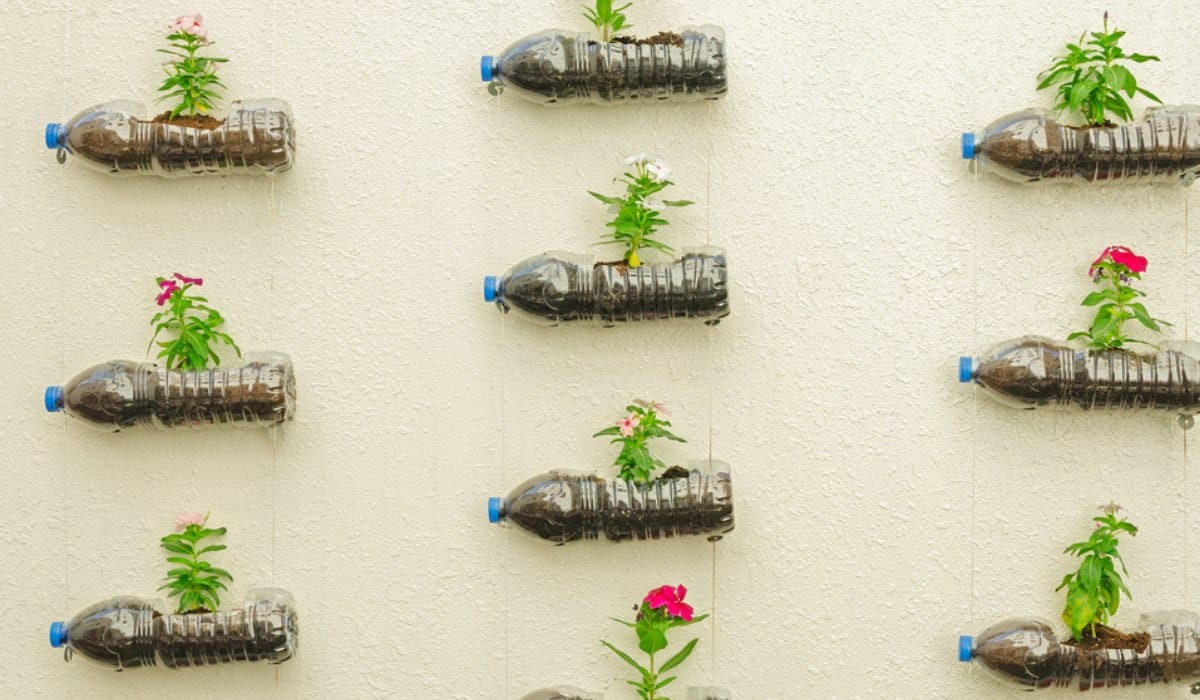 Plastic Bottle Planters